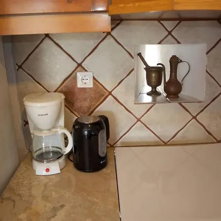 Unique & Restored Karpathian House בית נופש