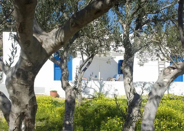 Unique & Restored Karpathian House Κάρπαθος